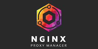 NGINX Reverse Proxy + docker